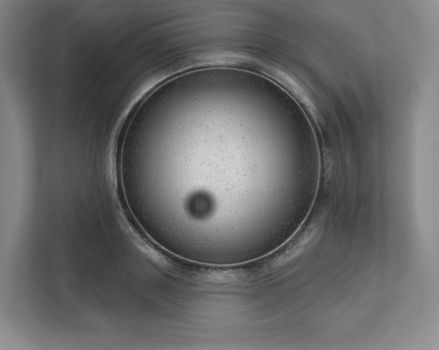 X0000111940843200908031136