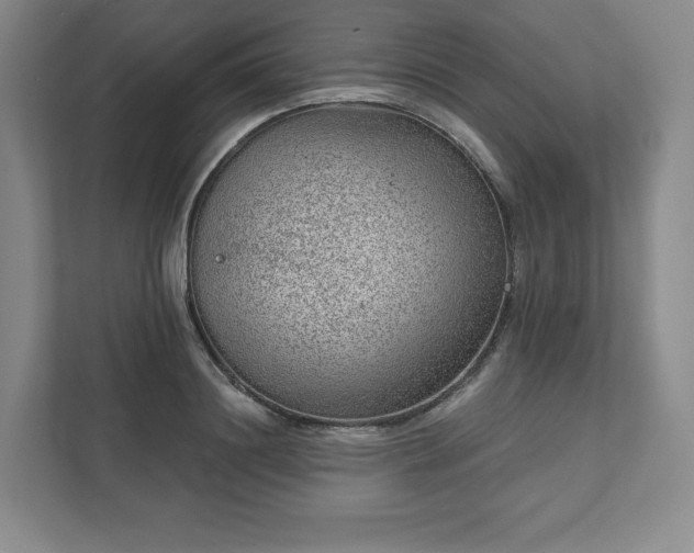 X0000111940844200908031136