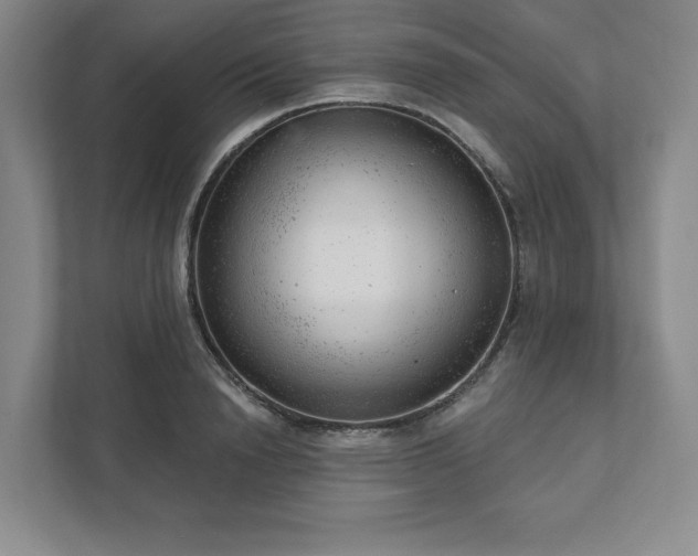 X0000111940846200908031136