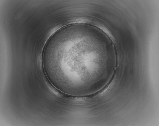 X0000111940850200908031136