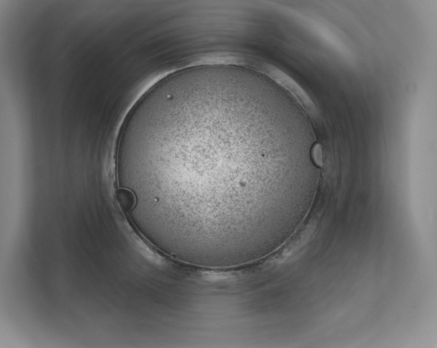 X0000111940852200908031136