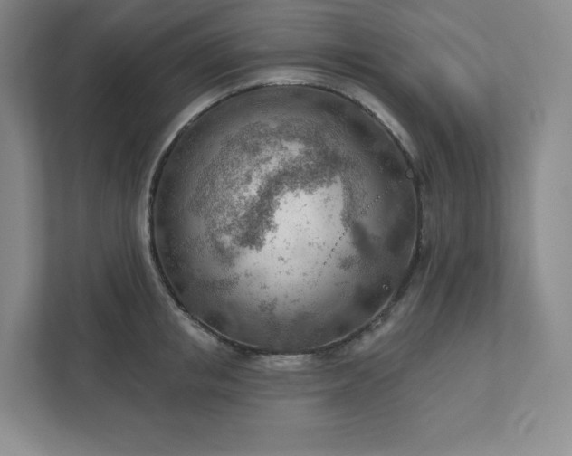 X0000111940853200908031136