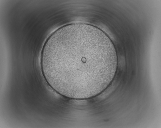 X0000111940856200908031136