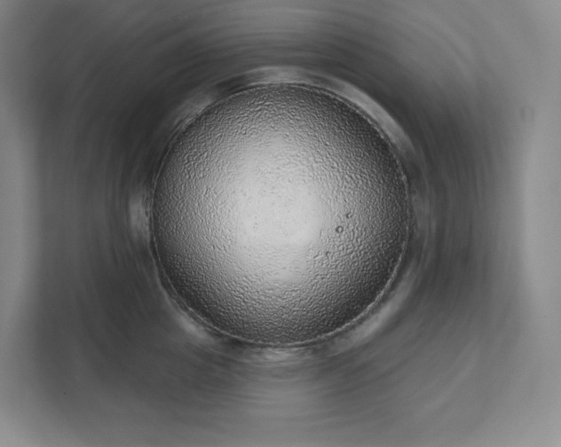 X0000111940857200908031137