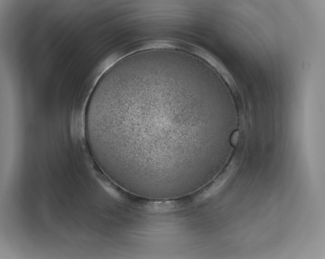 X0000111940858200908031137