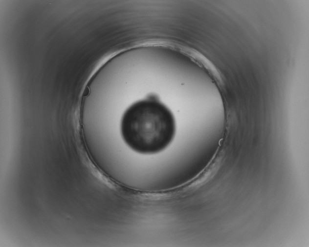 X0000111940860200908031137