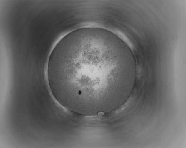 X0000111940863200908031137