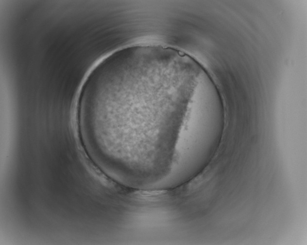 X0000111940864200908031137