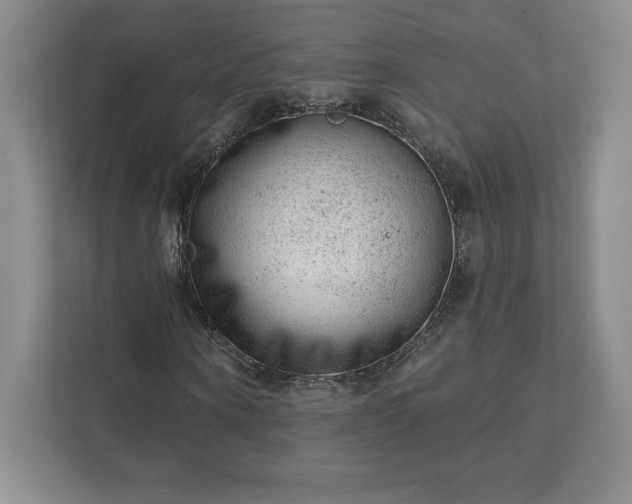 X0000111940866200908031136