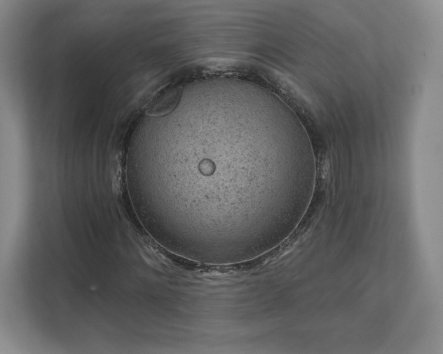 X0000111940868200908031136