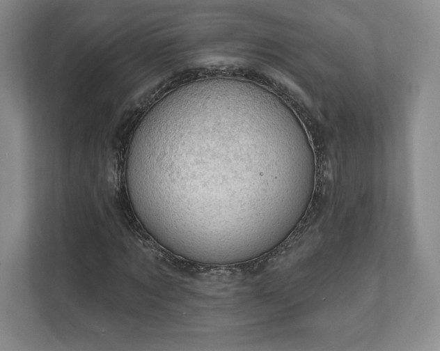 X0000111940869200908031136