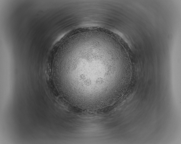 X0000111940871200908031136