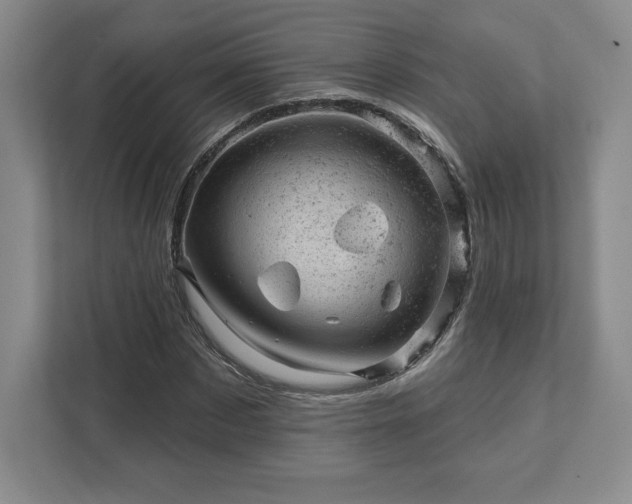 X0000111940873200908031136