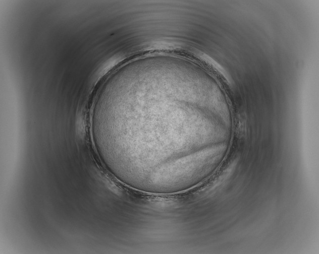 X0000111940874200908031136