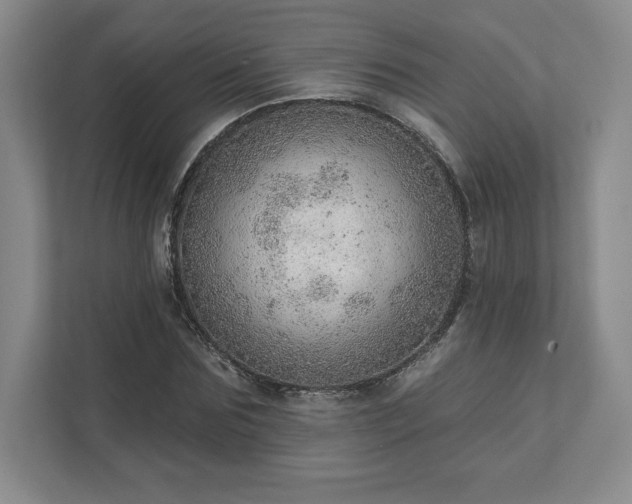 X0000111940875200908031136