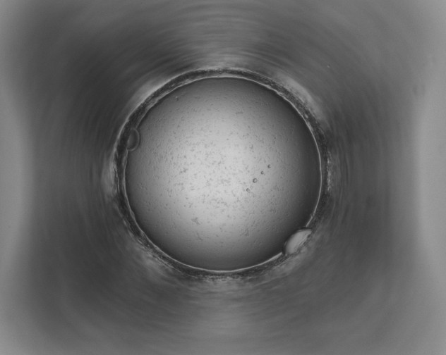 X0000111940876200908031136