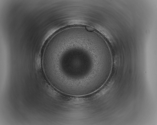 X0000111940877200908031136