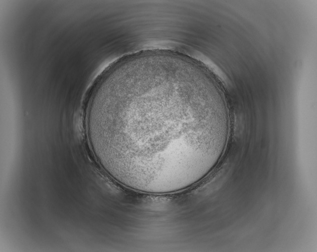 X0000111940878200908031136