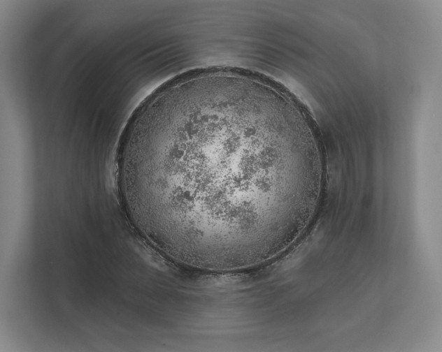 X0000111940879200908031136