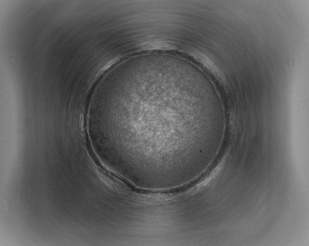 X0000111940881200908031136