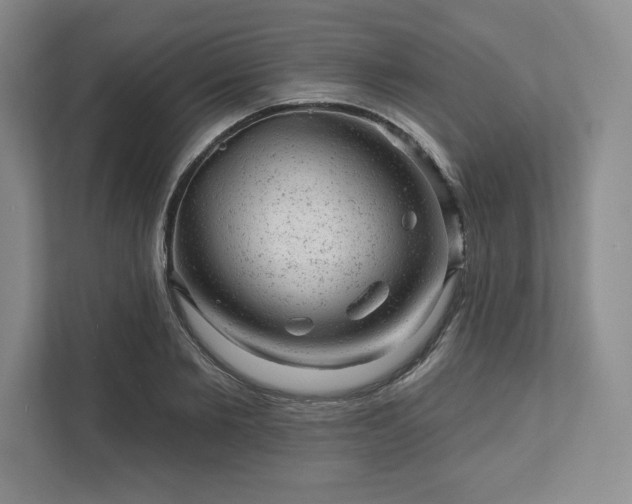 X0000111940885200908031136