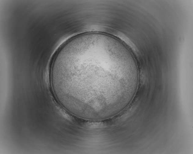 X0000111940886200908031136