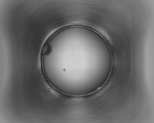 X0000111940888200908031136