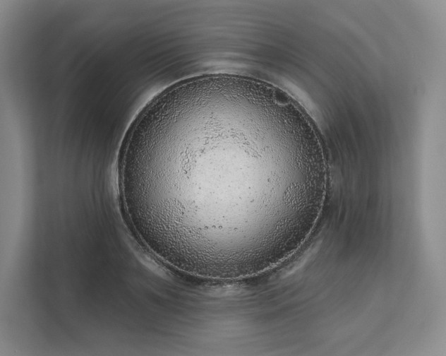 X0000111940891200908031136