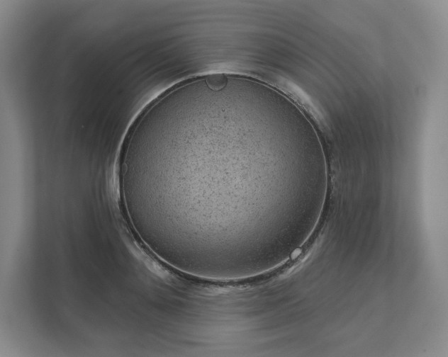 X0000111940892200908031136