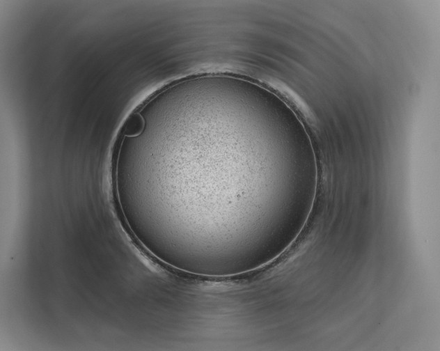 X0000111940894200908031136