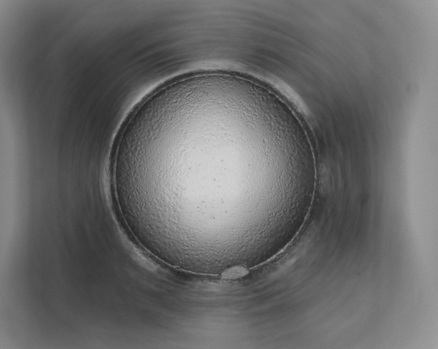 X0000111940895200908031136