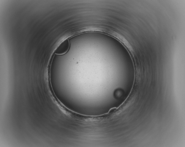 X0000111940898200908031136