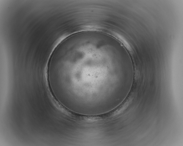 X0000111940899200908031136