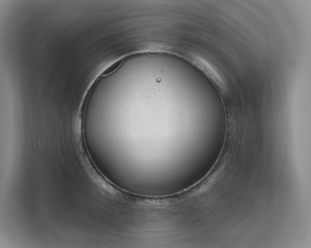 X0000111940900200908031136