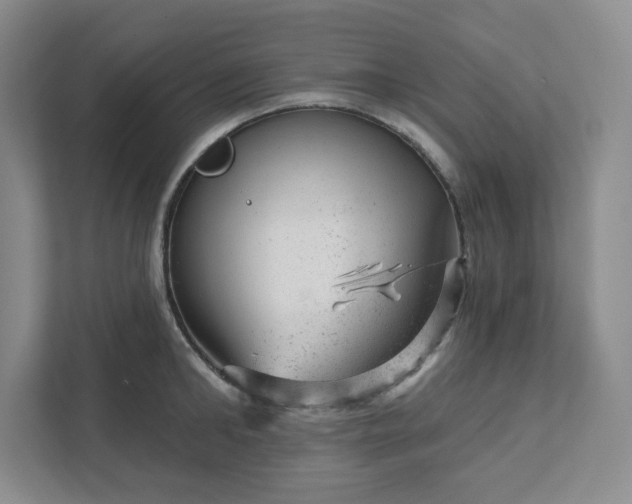 X0000111940902200908031135