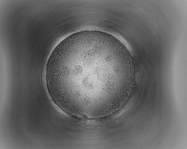 X0000111940903200908031135