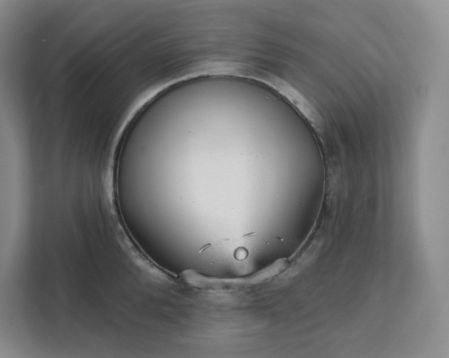 X0000111940904200908031135