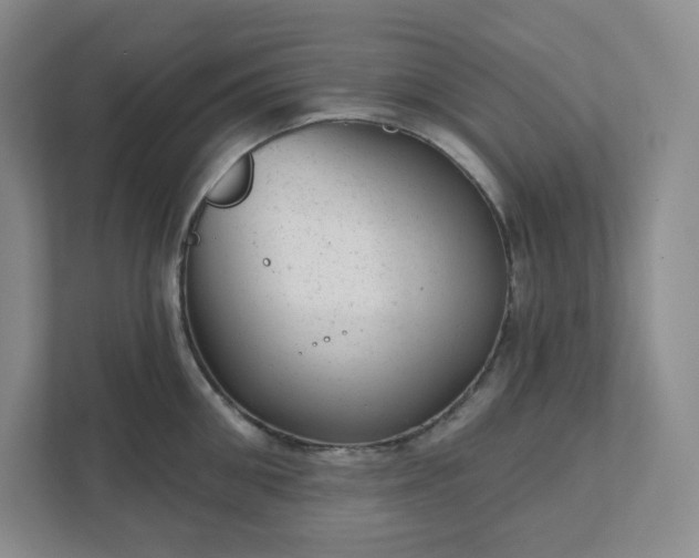 X0000111940906200908031135