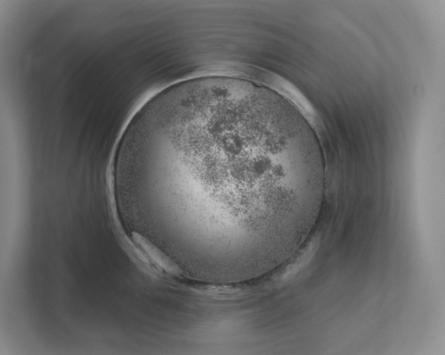 X0000111940907200908031135