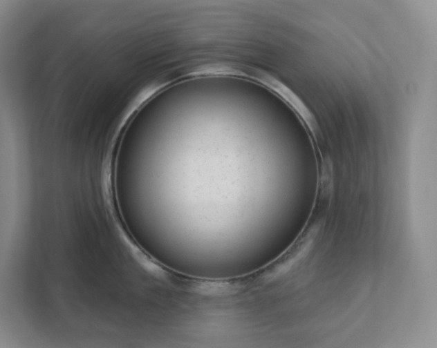 X0000111940909200908031135