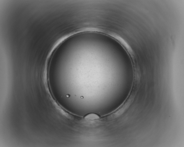 X0000111940910200908031135