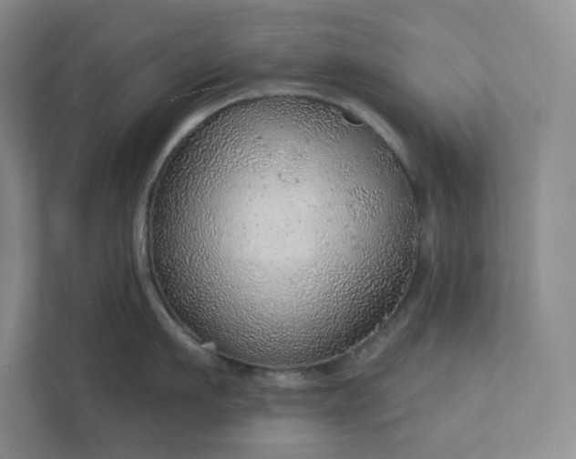 X0000111940911200908031135