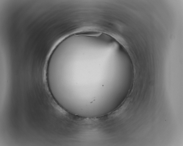 X0000111940912200908031135