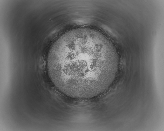 X0000111940917200908031135