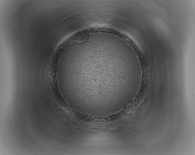 X0000111940919200908031135