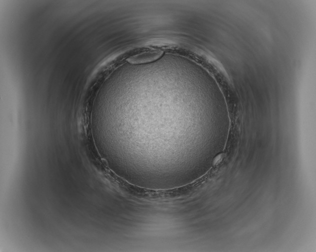 X0000111940920200908031135