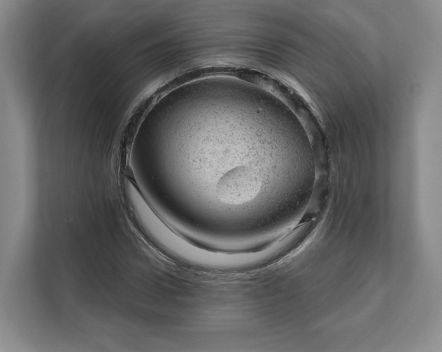 X0000111940922200908031135