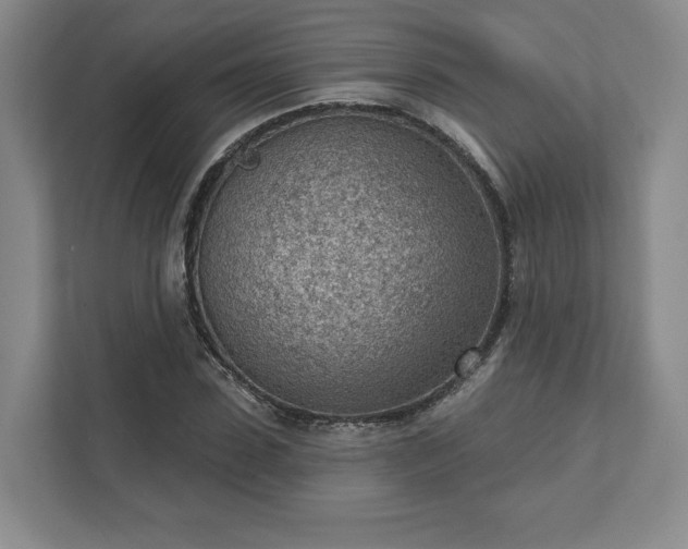 X0000111940923200908031135