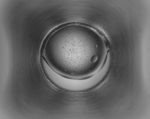 X0000111940924200908031135