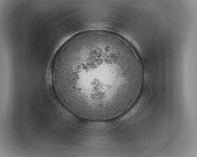 X0000111940925200908031135